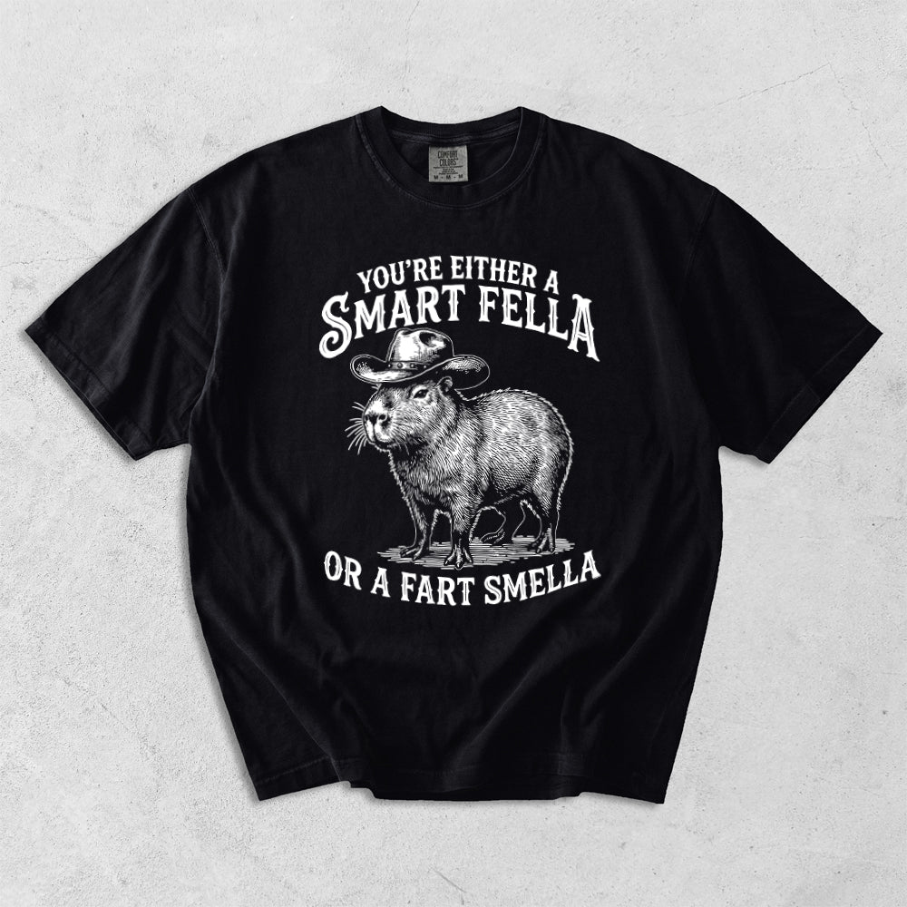 You're Either A Smart Fella Or A Fart Smella Comfort Colors T-Shirt