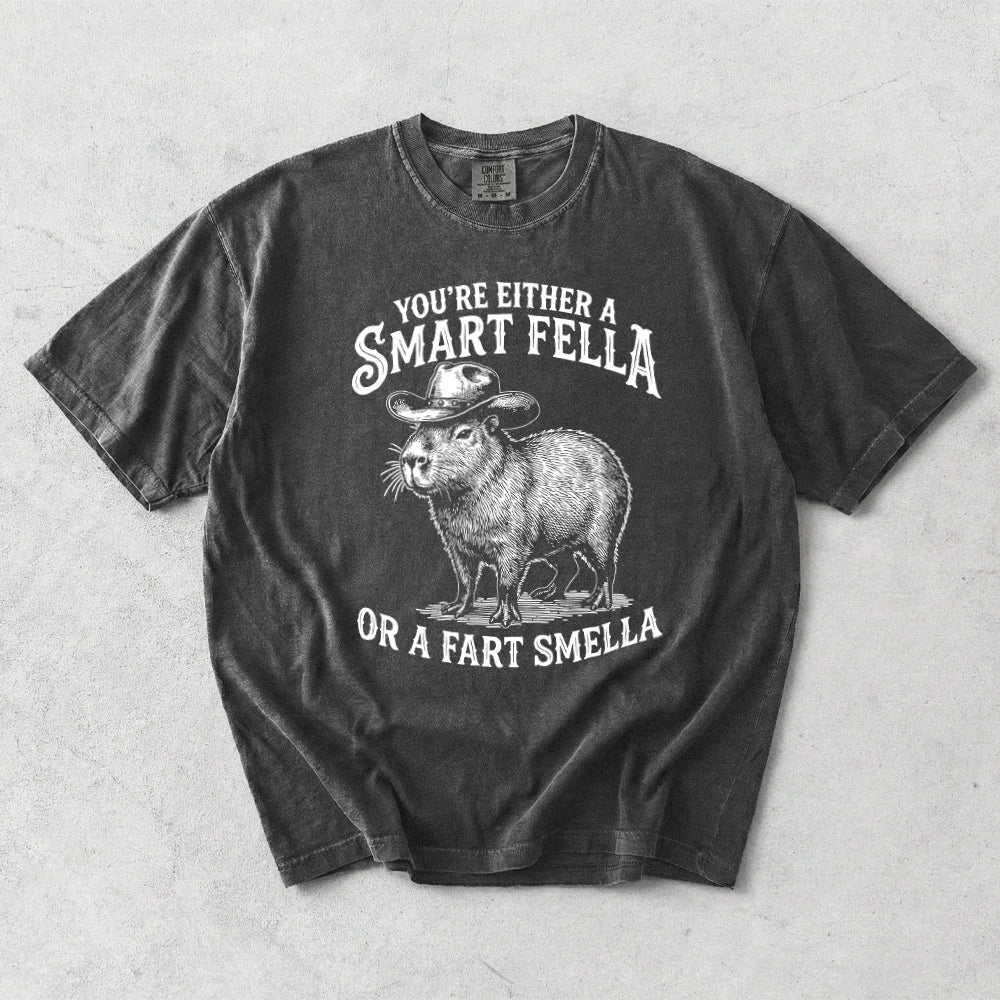 You're Either A Smart Fella Or A Fart Smella Comfort Colors T-Shirt