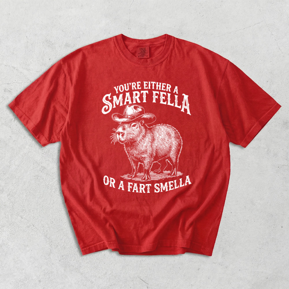 You're Either A Smart Fella Or A Fart Smella Comfort Colors T-Shirt