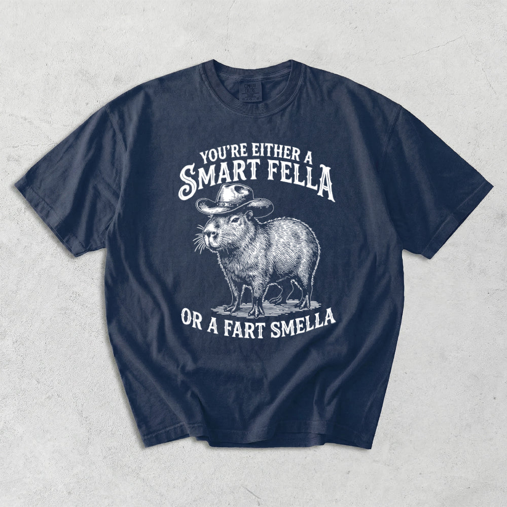You're Either A Smart Fella Or A Fart Smella Comfort Colors T-Shirt