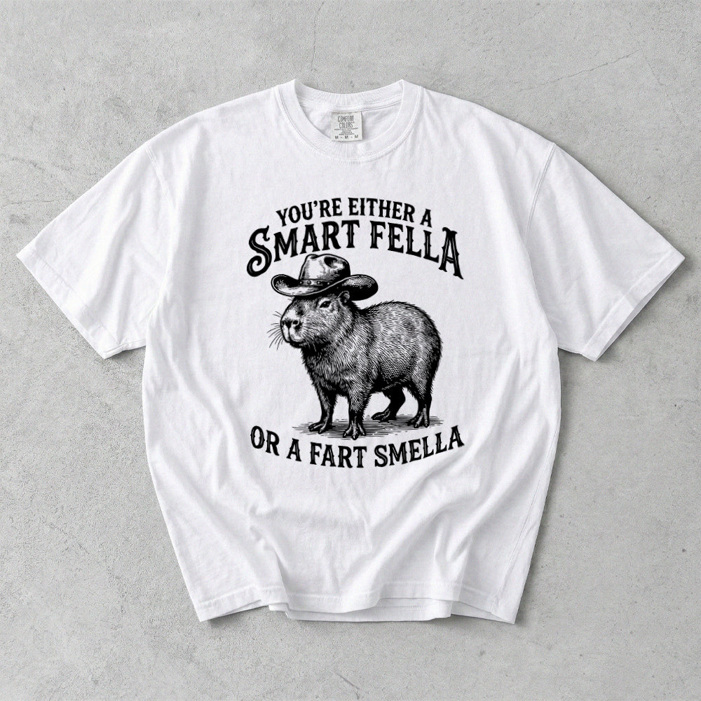 You're Either A Smart Fella Or A Fart Smella Comfort Colors T-Shirt