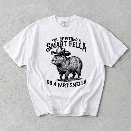 You're Either A Smart Fella Or A Fart Smella Comfort Colors T-Shirt